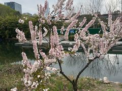 -白塘生态植物园