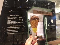 黑巧克力冰淇淋-LUNEURS月乐诗 冰淇淋咖啡(环贸店)