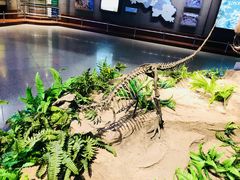 -自贡恐龙博物馆