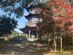 -梁鸿国家湿地公园