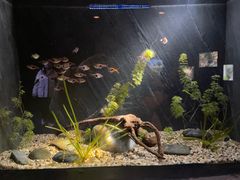 -上海海洋水族馆