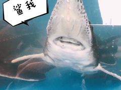 -华盛丰温州大排档(东三环南路店)