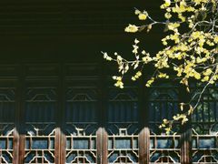 -灵谷景区