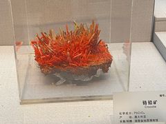 -湖南省地质博物馆