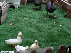 -HERRE·FARM 赫尔露营农场·团建聚会包场