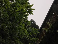 -井冈山风景名胜区-黄洋界