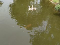 -长白岛森林公园