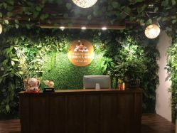 -小熊维尼高端儿童摄影(宝安旗舰店)