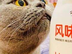 -宠爱国际动物医院· 猫科· 外科·中兽医(长白店)