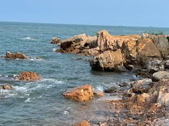 -小麦岛公园