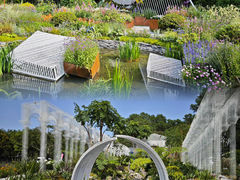 -深圳仙湖植物园