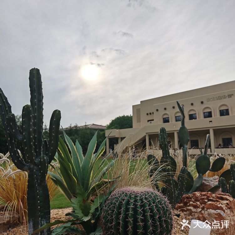 长春纪念日推荐餐厅