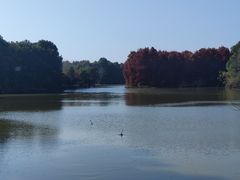 -上海海湾国家森林公园