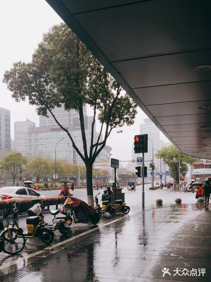 所有电瓶车逆行都是不允许的，从来没有见过这么大阵势