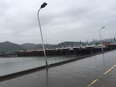 -黄贤森林公园