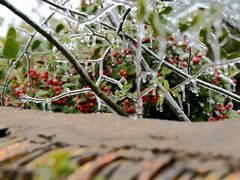 -明月山天沐温泉度假村
