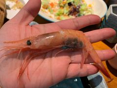 -季夏金枪鱼牛排自助餐厅(海悦天地店)