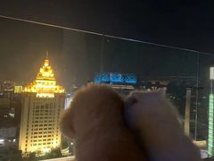 -Hi City·城市之巅