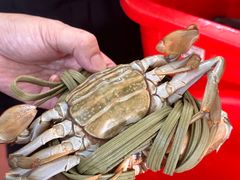 -老财炒饭·熟地蟹·冬瓜蟹