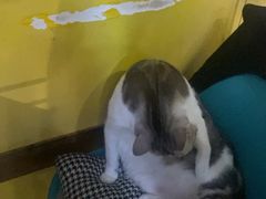-谜盒子奇幻密室(南屏店)