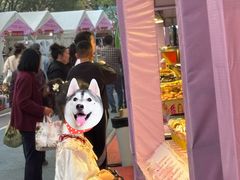 -太阳宫公园