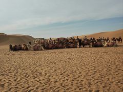 -银肯塔拉沙漠生态旅游景区