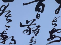 -大官米线(喜盈门范城店)