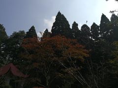 -庐山风景区花径公园
