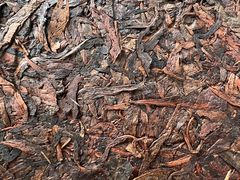 -湖南省地质博物馆