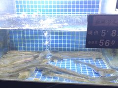 -老粮票大食堂(灌江路店)