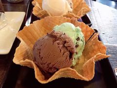 -莓园冰淇淋店