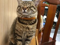 -官塘陈记鱼生·潮汕砂锅粥·牛肉火锅(潮枫路总店)