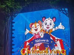 -广州长隆国际大马戏