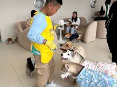 -怪兽屋·羊驼·猫咖·狗咖(俊华广场店)