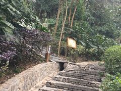 -明月山天沐温泉度假村