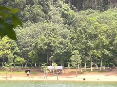-凤岗南门山森林公园