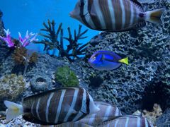 -横店影视城梦幻谷园区