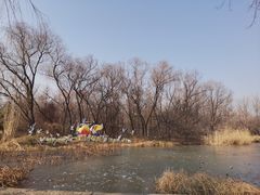 -洛阳市隋唐城遗址植物园
