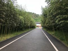 -都江堰中华大熊猫苑