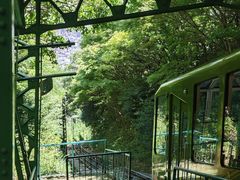 -神户市立六甲山牧场