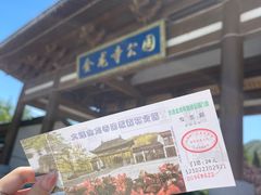 -金龙寺国家森林公园