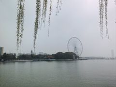 -无锡蠡湖国家湿地公园-蠡园