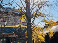 -南山风景名胜区
