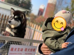 -萌宠亲子动物乐园(槐房万达店)