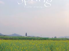-光明小镇欢乐田园