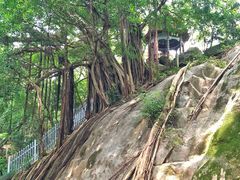 -乌山风景区