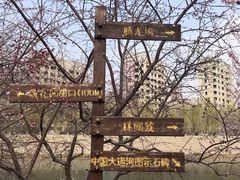 -桃花堤公园
