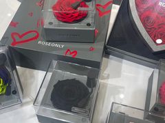 -ROSEONLY诺誓(磐基中心店)