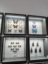 -酷嗒动物文化乐园(cutezoo西溪乐天城店)