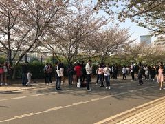 -同济大学本部学苑饮食广场